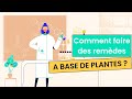 Les preparations  base de plantes