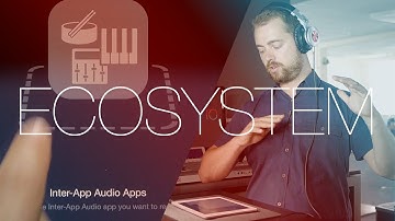 Inter App Ecosystem — iMPC Pro Log