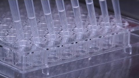 How to Perform Semi-Solid Cloning of CHO Cell Lines in 96-Well Plates Using ClonaCell™-CHO Medium