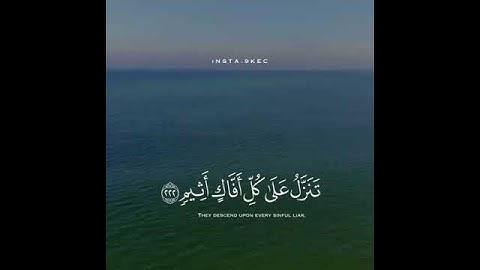 (وَتَوَكَّلْ عَلَى الْعَزِيزِ الرَّحِيمِ)                 القارئ #وديع_اليمني سورة #الشعراء 💙