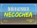 Un día en las Playas de Necochea