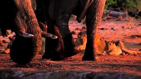 Make a Connection - Earth Month 2011