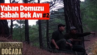 Yaban Domuzu Sabah Bek Avı 2. Bölüm ilhan Hoca Doğada Yaban Tv