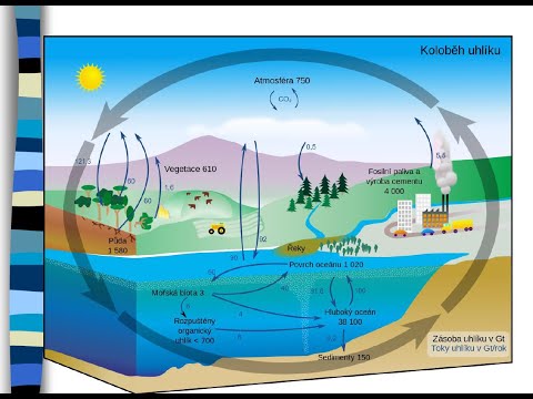 Video: Co Je Ozonová Vrstva