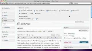 WordPress 3.01 Tutorial - User Interface Profile