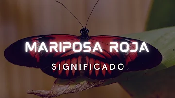 ¿Existen las mariposas rojas?