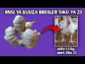 Booster Itakayofanya Uwauze Broila Wakiwa Na Siku 23 Booster Ya Broila 