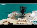 King scorpio beach bar tv spot  krhth tv