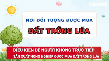 Điều kiện để người không trực tiếp sản xuất nông nghiệp được mua đất trồng lúa | Báo Lao Động