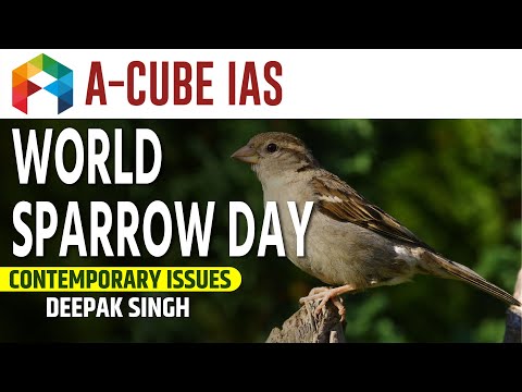 WORLD SPARROW DAY | Contemporary Issues | UPSC IAS