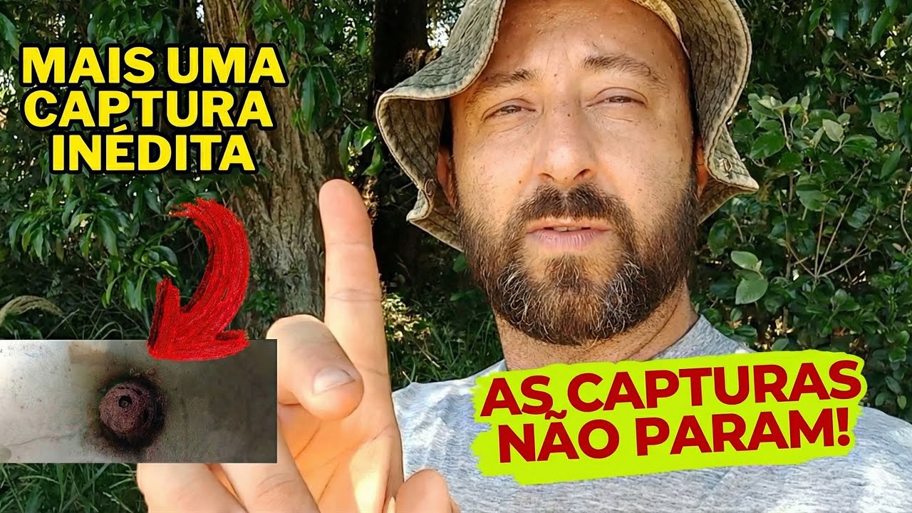 ESSA ENTRADA NÃO É NORMAL! O que capturei no meio de muitas Jataís?