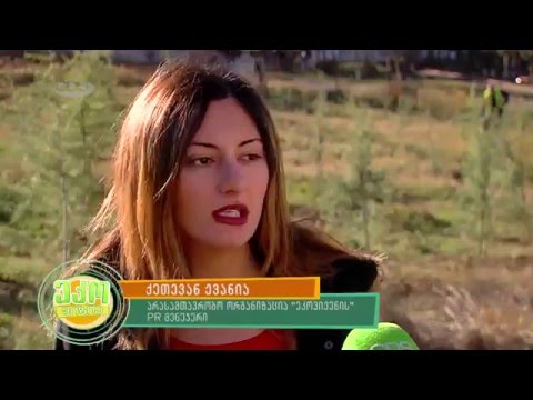 ტყის კვირეული - Forest Week - გადაცემა \"ეკოვიზია\" - 'Ecovision' TV Show