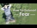How To Outsmart Fear &amp; Control Your Emotions