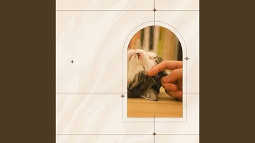 Scintillating Jazz Trio - Vibe for Mysterious Kittens