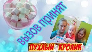 Челлендж Пухлый Кролик / CHUBBY BUNNY Вызов принят. Маршмеллоу. CHUBBY BUNNY Challenge Marshmallow