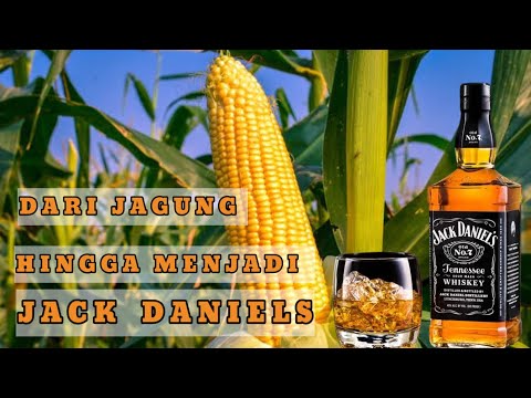 Video: Apakah jack daniels dibuat?