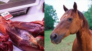 من هم آكلي لحم الخيول احفاد المغول (الكازاخ)