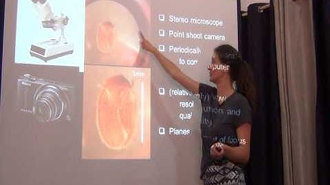 BITC / Data Capture - Imaging Insects - 1