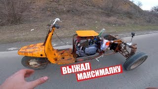 ВЫЖАЛ МАКСИМАЛКУ с САМОДЕЛЬНОГО МУРАВЬЯ!