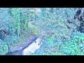 Lil B - Paint  FROM THE ALBUM "PAINT"