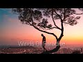 Taoufik - Winds Of Paradise