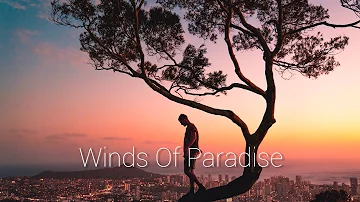 Taoufik - Winds Of Paradise