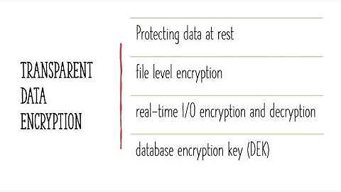 Security video COMP90043