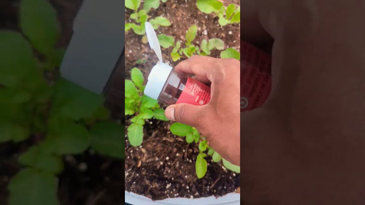 Keep Bugs And Animals Out Of Your Garden Natural Gardening Greentgarden