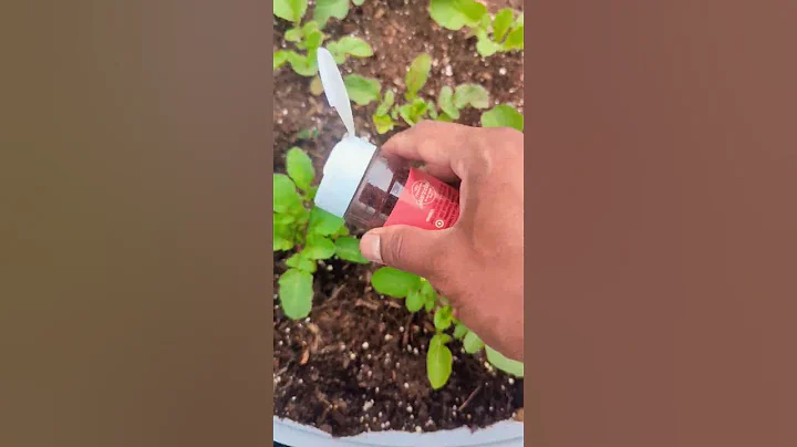 Keep Bugs and Animals out of your Garden  🐛🦗🐜🐇🐁🐦 #natural #gardening #greentgarden