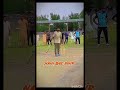 Fakhar jani challenge in tape ball 🔥👑 #cricket #cricketnews #tapeballcricket #cricketlover