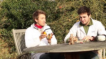 The Slo Mo Guys - Banger Week   Exploding Fertility Statue - The Slow Mo Guys (Re-Upload)