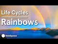 Understanding Rainbows and the Creative Process