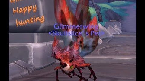 Where to find and tame Glimmerwing