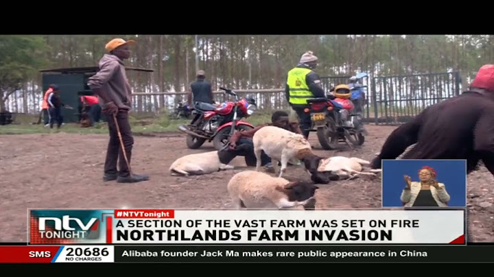 Intruders invade a farm linked to former President Uhuru Kenyatta's family in Ruiru