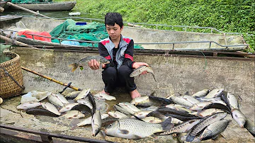 The orphan boy's daily life consists of catching fish, casting a net, selling fish, and cooking fish