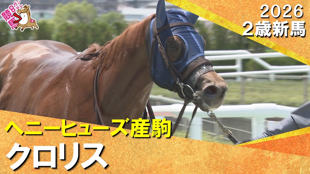 関連動画1
