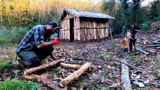 Log Cabin  Building Primitive Forest House from Start to Finish, Bushcraft Camping, DIY, ASMR