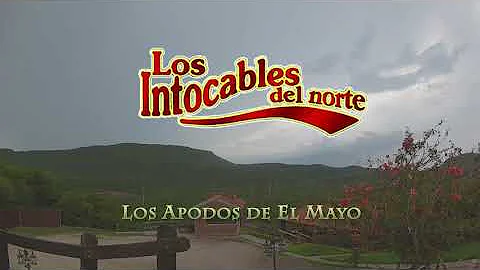 Los Apodos del Mayo - Los Intocables del norte