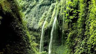 Beautiful scenery nature video clip