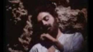 Zagros Xelîkan (Ciya)  - Delale