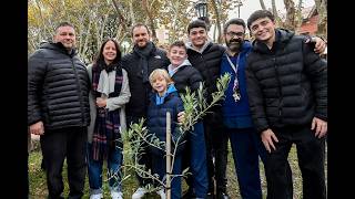 Nuevo olivo en la plaza Vicente López y Planes