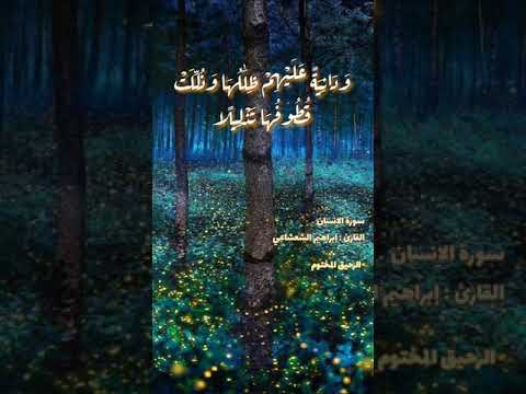 ابراهيم الشعشاعي و د ان ي ة ع ل ي ه م ظ ل ال ه ا