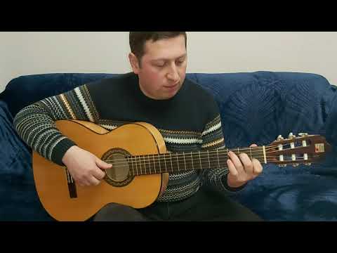 იდგა თებერვალი გიტარის გაკვეთილი