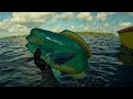 Joints spearfishing tahiti  spearfishing trip in the tuamotus  french polynesia