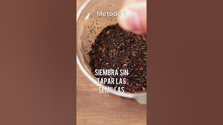 🟣 ARANDANOS Siembra desde SEMILLAS - Short