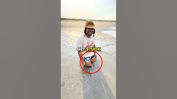 How To ESCAPE Quicksand 😱