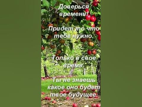 Живи сегодня, а вчера и завтра - YouTube