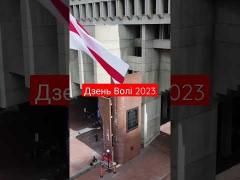 Дзень Волі ў Бостане #shorts #бчб #дзеньволі #беларусь #беларусы #сша #бостон #livefeed #trending