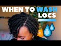 When to Wash Starter Locs (Two Strand Twist Starter Locs on 4C Hair)