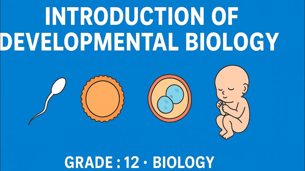 1.1 Introduction to Developmental Biology | NEB Exam Preparation